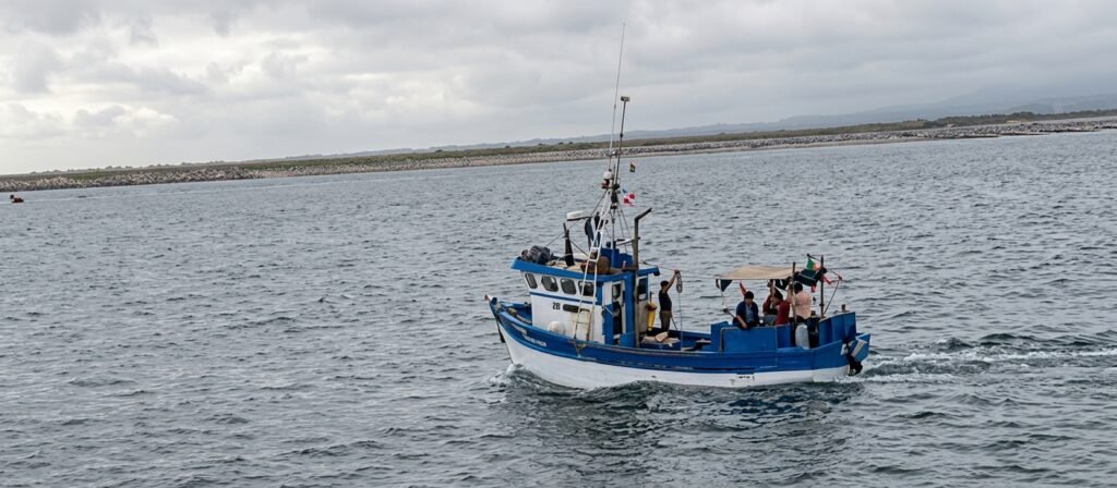 Pescadores alertan sobre presunta extracción irregular de pota en Sechura
