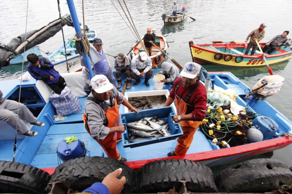 Pesca del bonito tendrá un límite de 118 200 toneladas durante 2026