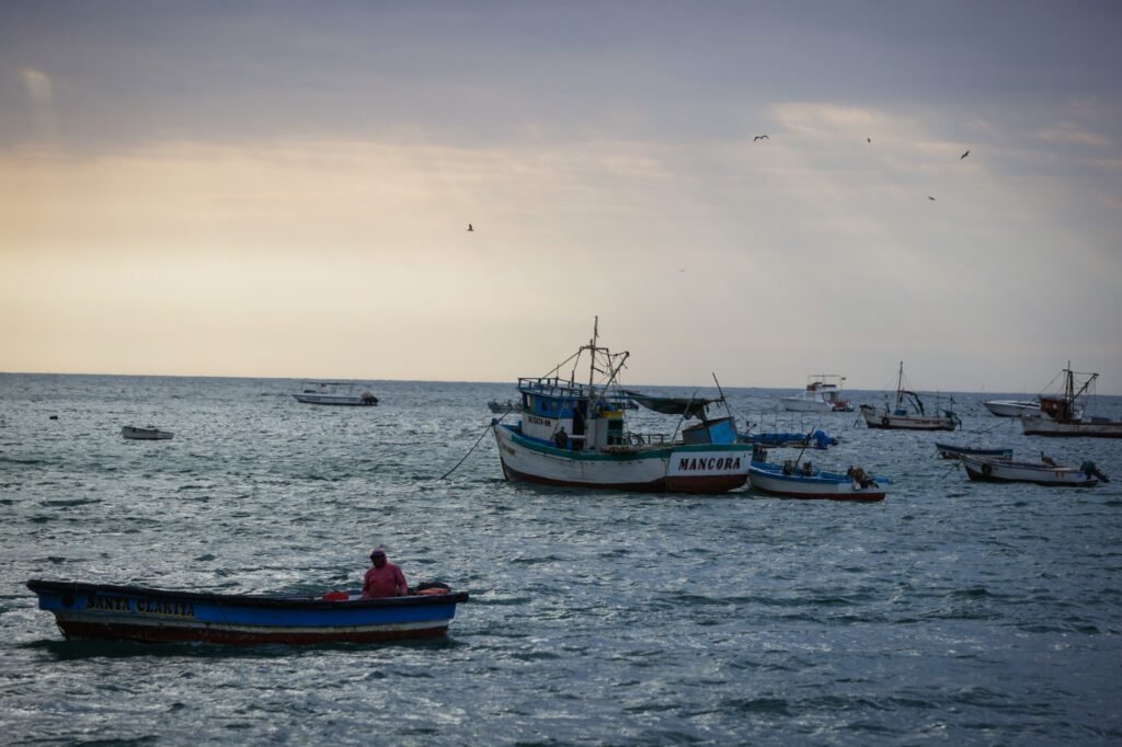 PRODUCE establece cuotas y nuevas medidas para ordenar la pesca de anchoveta, jurel, caballa y bonito