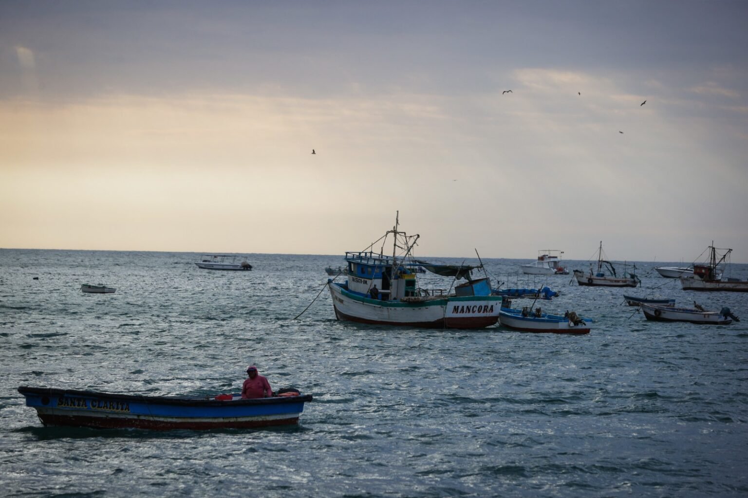 PRODUCE establece cuotas y nuevas medidas para ordenar la pesca de anchoveta, jurel, caballa y bonito
