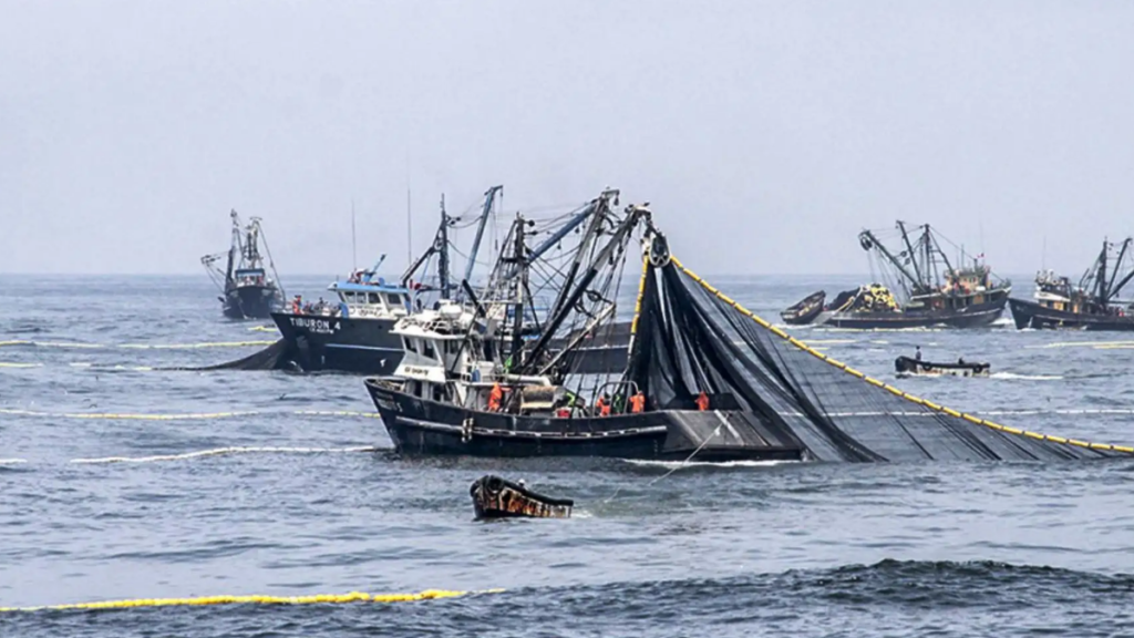 Gobierno declara en emergencia los subsectores pesca y acuicultura por el Fenómeno El Niño