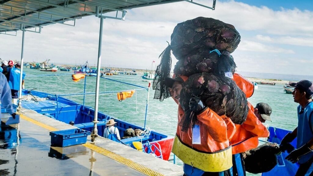 Pescadores de Parachique podrán ejecutar obras urgentes en su desembarcadero tras nueva resolución de Produce