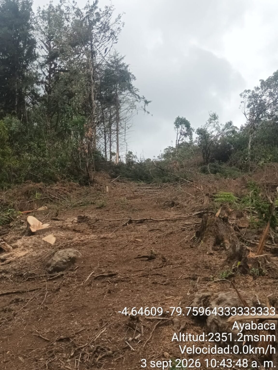 ENOSA restablece el servicio eléctrico en Ayabaca y Sicacate tras caída de árbol