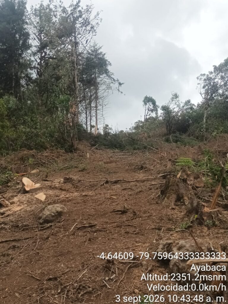 ENOSA restablece el servicio eléctrico en Ayabaca y Sicacate tras caída de árbol