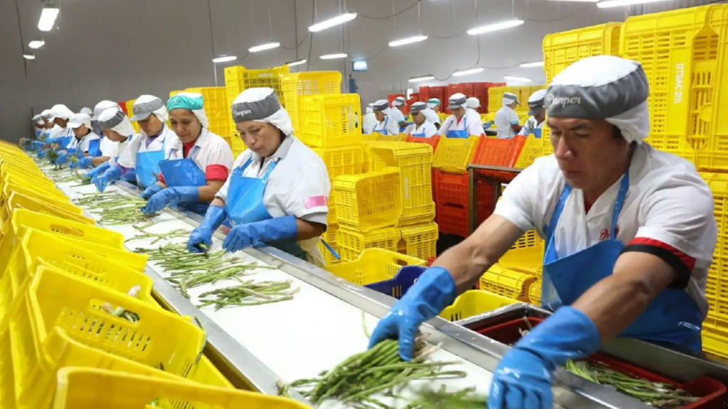 Agroexportaciones peruanas alcanzaron US$6,840 millones entre enero y julio de 2026
