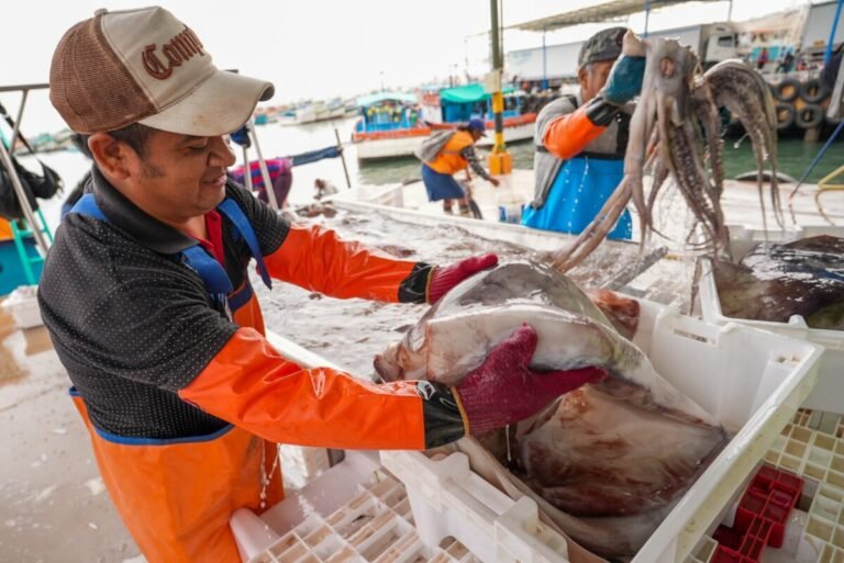 Pescadores de pota exigen mantener dos salidas al mes y ampliar la cuota de pesca