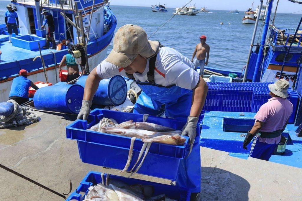 Pescadores de Parachique piden topes de captura ante caída del precio de la pota