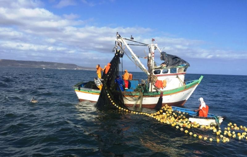 MTPE crea grupo de trabajo para evaluar medidas ante El Niño Global en el sector pesquero