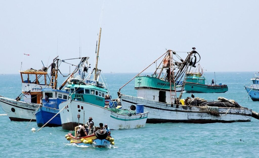 Piura y otras siete regiones accederán a créditos para reactivar el sector pesquero