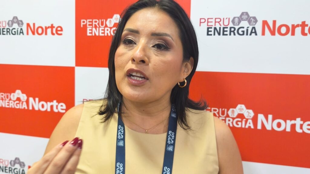 Gaby Julca propone rastrear la comercialización de minerales para combatir la minería ilegal